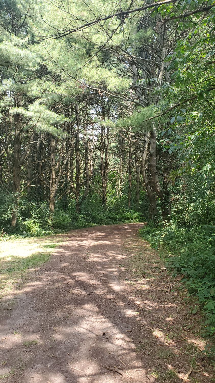 Shabbona Lake State Park 